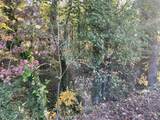 Lot 10 Brookforest Drive - Photo 3