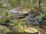 141 Old Sc 11 - Photo 4