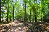 Lot 86 Peninsula Pointe South - Photo 10
