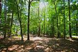 Lot 86 Peninsula Pointe South - Photo 12