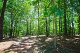 Lot 86 Peninsula Pointe South - Photo 13