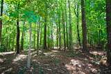 Lot 86 Peninsula Pointe South - Photo 14