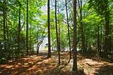 Lot 86 Peninsula Pointe South - Photo 37