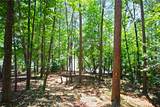 Lot 86 Peninsula Pointe South - Photo 39