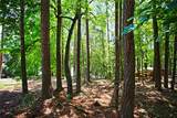 Lot 86 Peninsula Pointe South - Photo 43