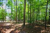 Lot 86 Peninsula Pointe South - Photo 9