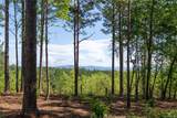 Lot 1 Canebrake Estates - Photo 4