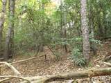 116 Fireside Lane - Photo 11