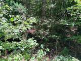 2176 LOT Sundew Drive - Photo 4