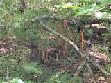 Lot 2177 Sundew Drive - Photo 1