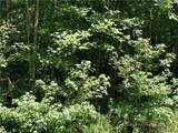 Lot 2177 Sundew Drive - Photo 2