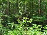 Lot 2177 Sundew Drive - Photo 4