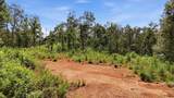 0000 Moorefield Memorial Highway - Photo 14