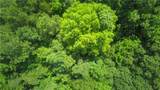 00 Pacolet Highway - Photo 28