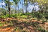 Tract Q The Bear Boulevard - Photo 4