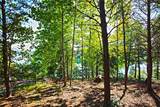 120 Vaughn Court - Photo 44