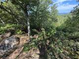 1140 Packs Mountain Ridge Road - Photo 4