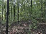 1146 Little Mountain Road - Photo 1