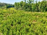 00 Horse Farm Road - Photo 25
