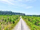 00 Horse Farm Road - Photo 7