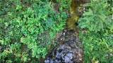 00 Horse Farm Road - Photo 8