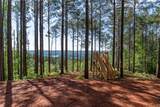 Lot 7 Canebrake Estates - Photo 5