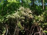 Lot 5 Canebrake Drive - Photo 12