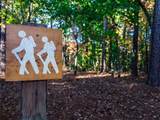 523 Heron Cove Circle - Photo 42