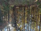 4 Horseshoe Point Drive - Photo 12