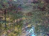 4 Horseshoe Point Drive - Photo 13