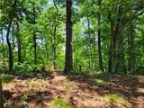 306 Fox Fire Road - Photo 8