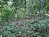00 Fox Fire Road - Photo 16