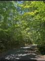 Tract 1J The Bear Boulevard - Photo 3