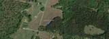 340 Oneal Ferry Road - Photo 7