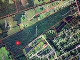 00 Deadfall Road - Photo 13