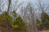 00 Deadfall Road - Photo 9