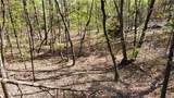 203 Wolf Creek Road - Photo 40