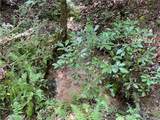 00 Whitewater Point Road - Photo 7