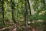LOT 13 Right Branch Drive - Photo 8