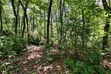 LOT 13 Right Branch Drive - Photo 9