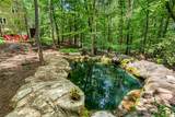 307 Warbranch Road - Photo 34