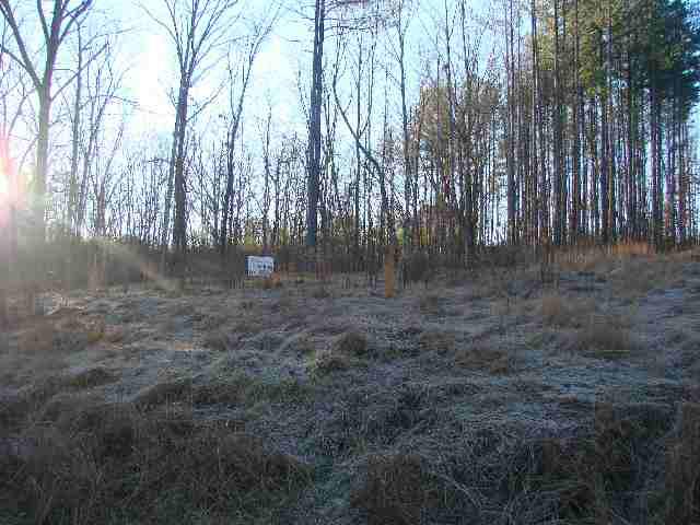 N-51 Jocassee Ridge - Photo 1