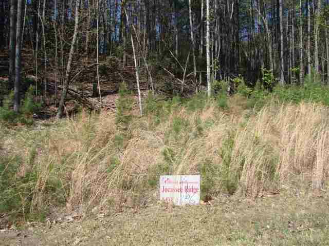 N-46 Jocassee Ridge - Photo 1