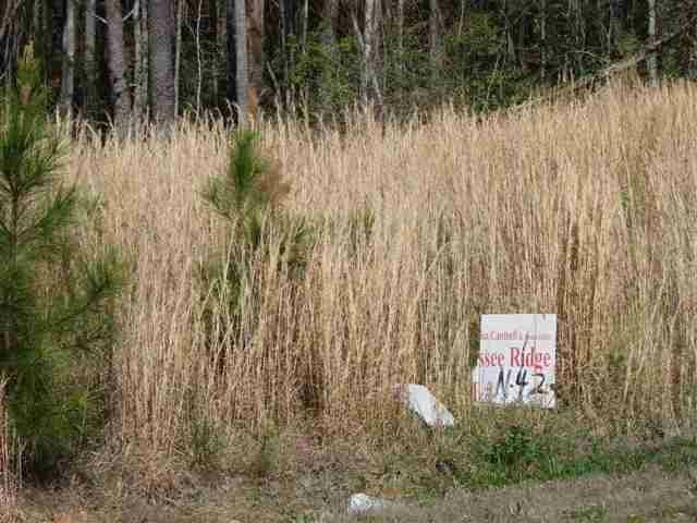N-42 Jocassee Ridge - Photo 1