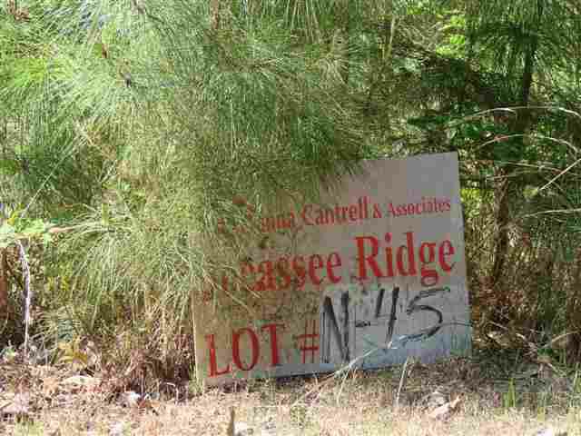 N-45 Jocassee Ridge - Photo 1