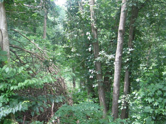 0 Minor Road - Photo 1