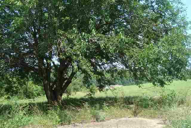 LOT4 Old Farm Road - Photo 1