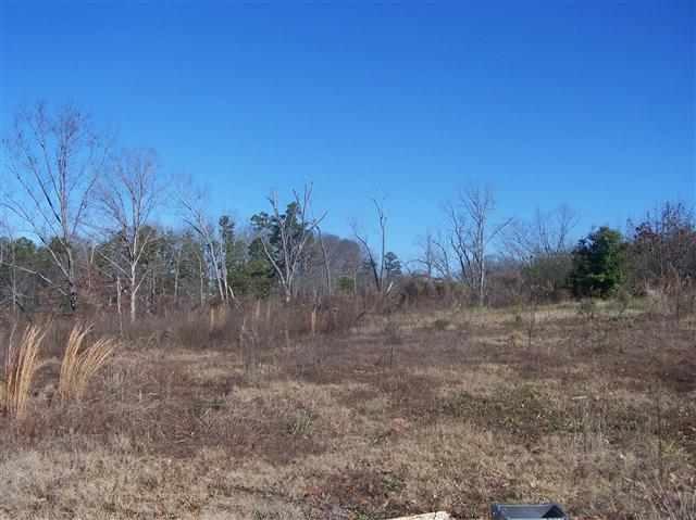 1025 George Smith Mill Road - Photo 1