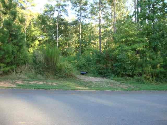 147 Stillwater Drive - Photo 1
