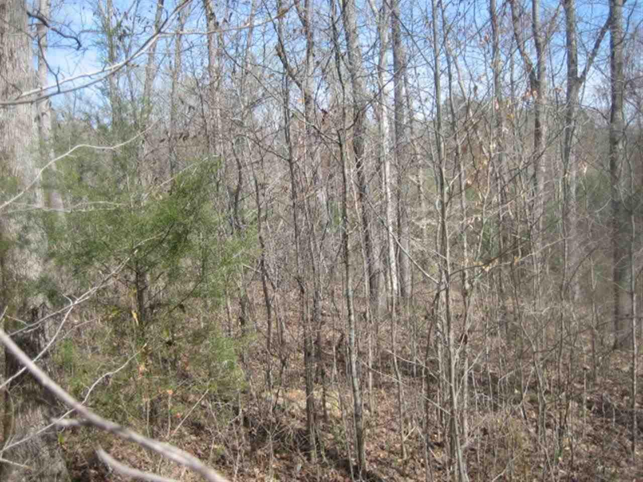 Lot 9 Brookside Drive - Photo 1